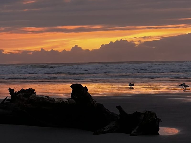 Reflections On the Last&nbsp;Year