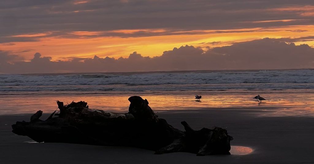 Reflections On the Last&nbsp;Year